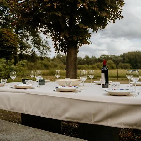 Landgoed Borgerhof * 海尔翠森